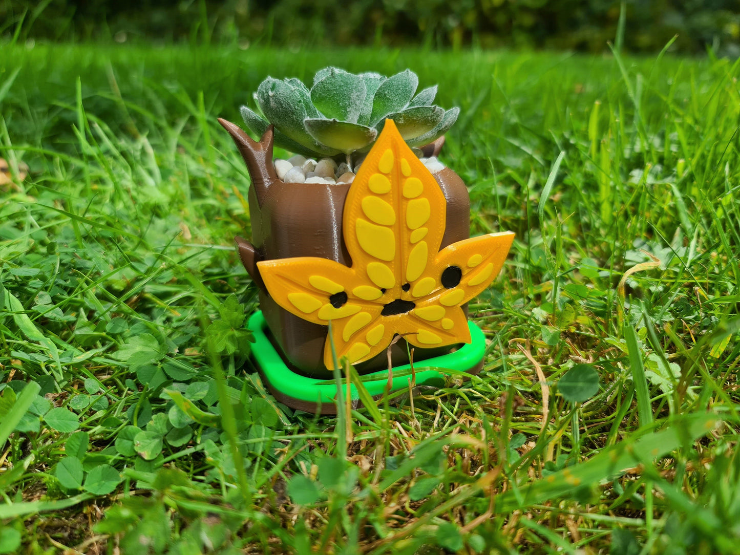 Korok Flower Pots (The Legend of Zelda: Breath of the Wild)