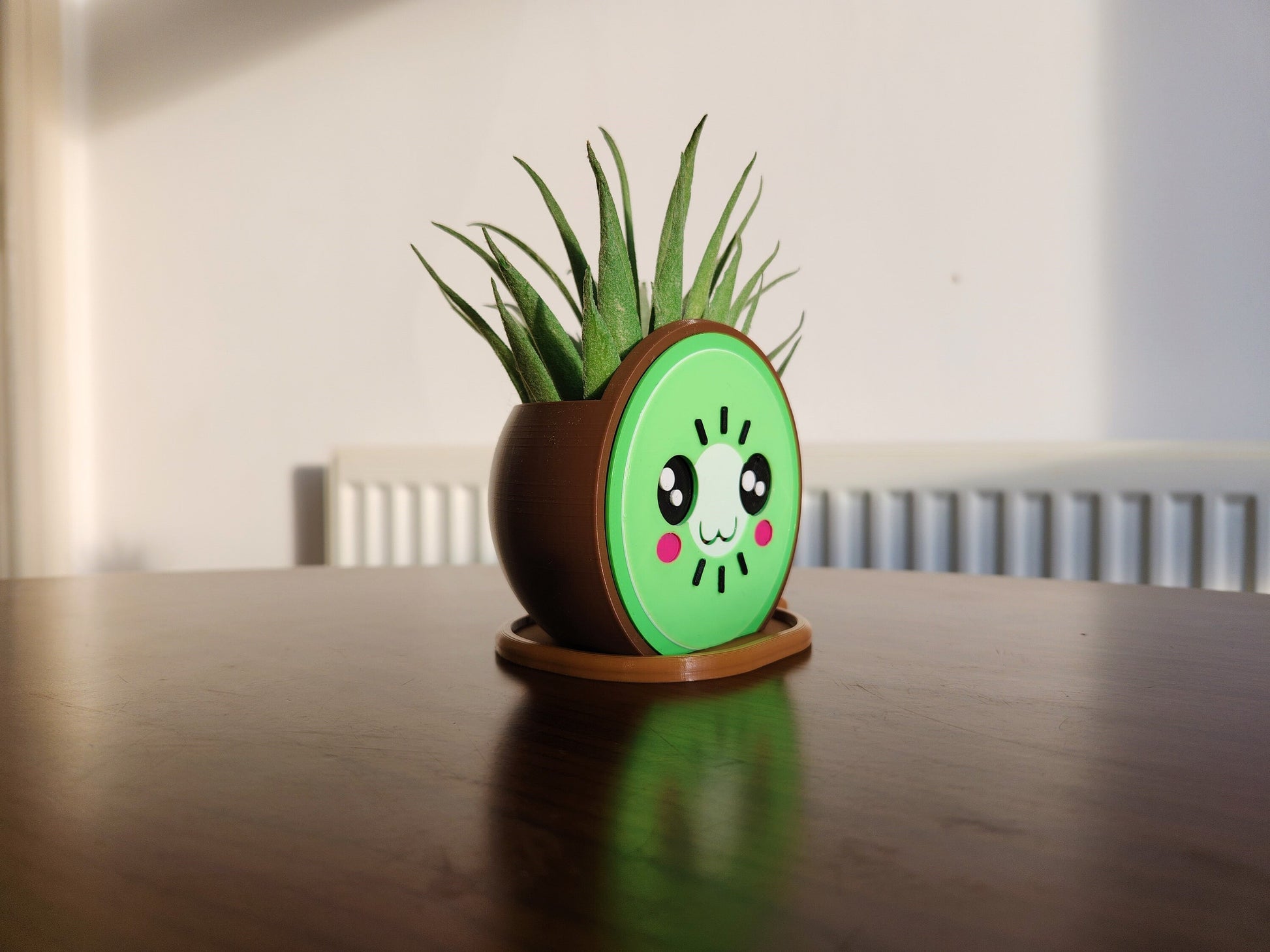 Kawaii Kiwi Flower Pot - Unique and Quirky Plant Home